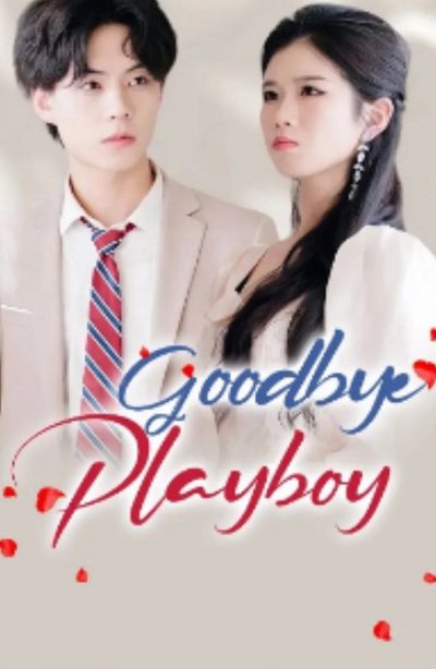 Capa da minissérie Adeus Playboy