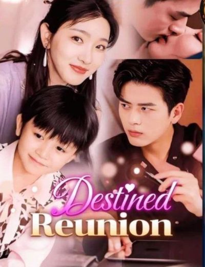 Capa da minissérie Reunião do Destino Destined Reunion